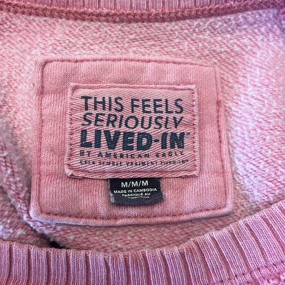 American Eagle 
This feels seriously lived-in sweatshirt - Picture 6 of 8